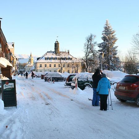 Apartments Stein Boží Dar エクステリア 写真