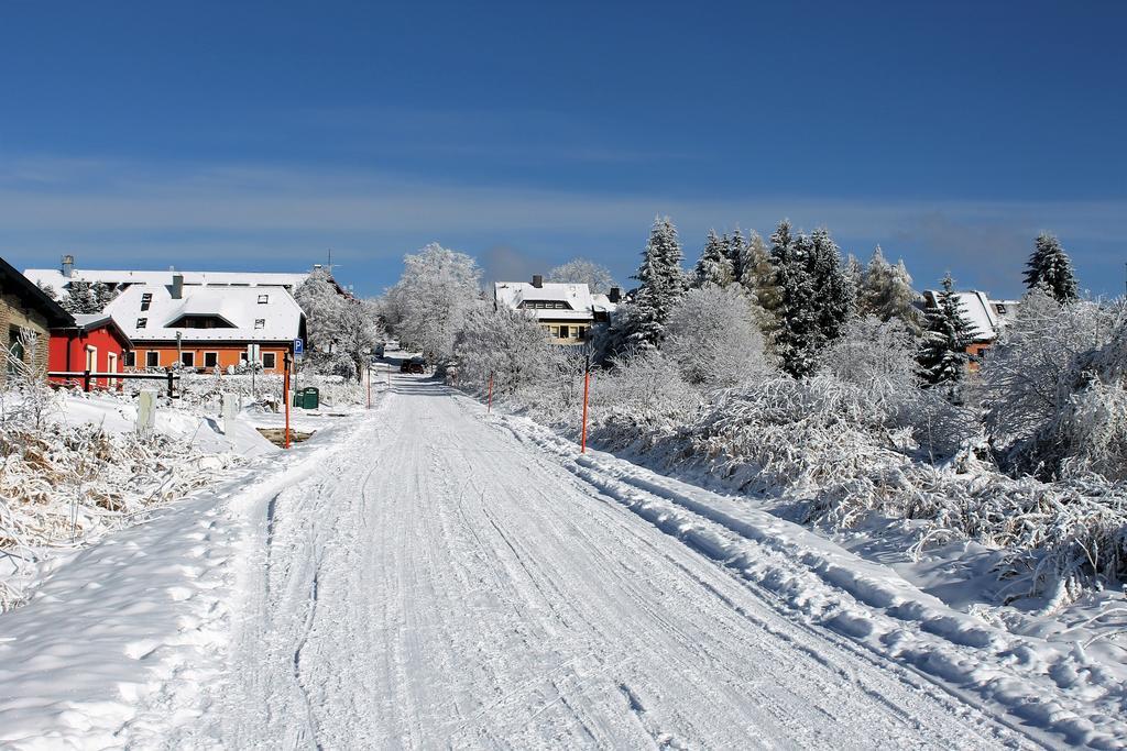 Apartments Stein Boží Dar エクステリア 写真