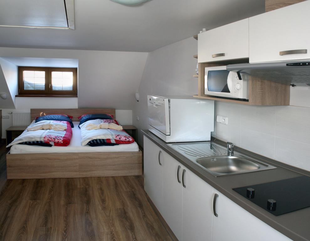 Apartments Stein Boží Dar エクステリア 写真