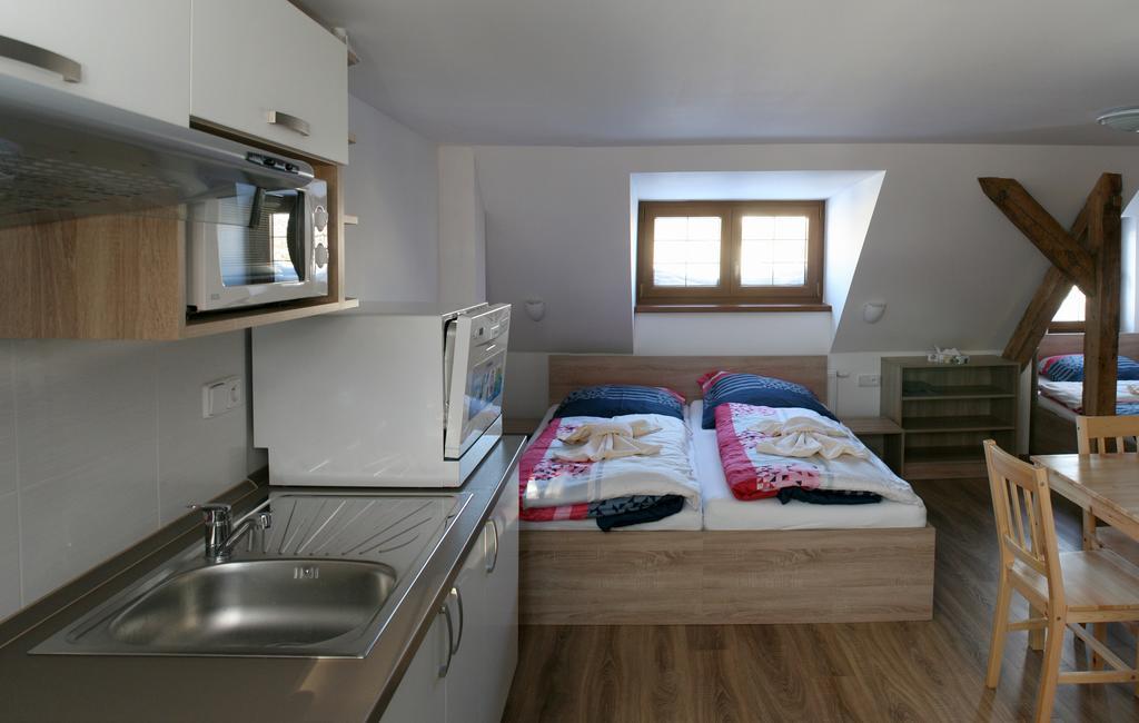Apartments Stein Boží Dar エクステリア 写真