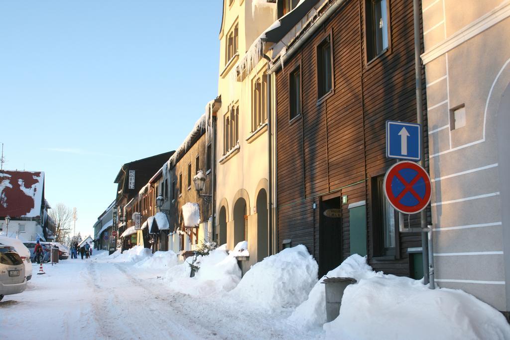 Apartments Stein Boží Dar エクステリア 写真